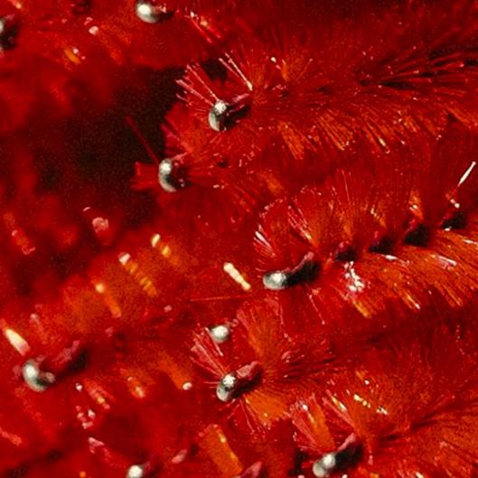  4 month neck acne treatment